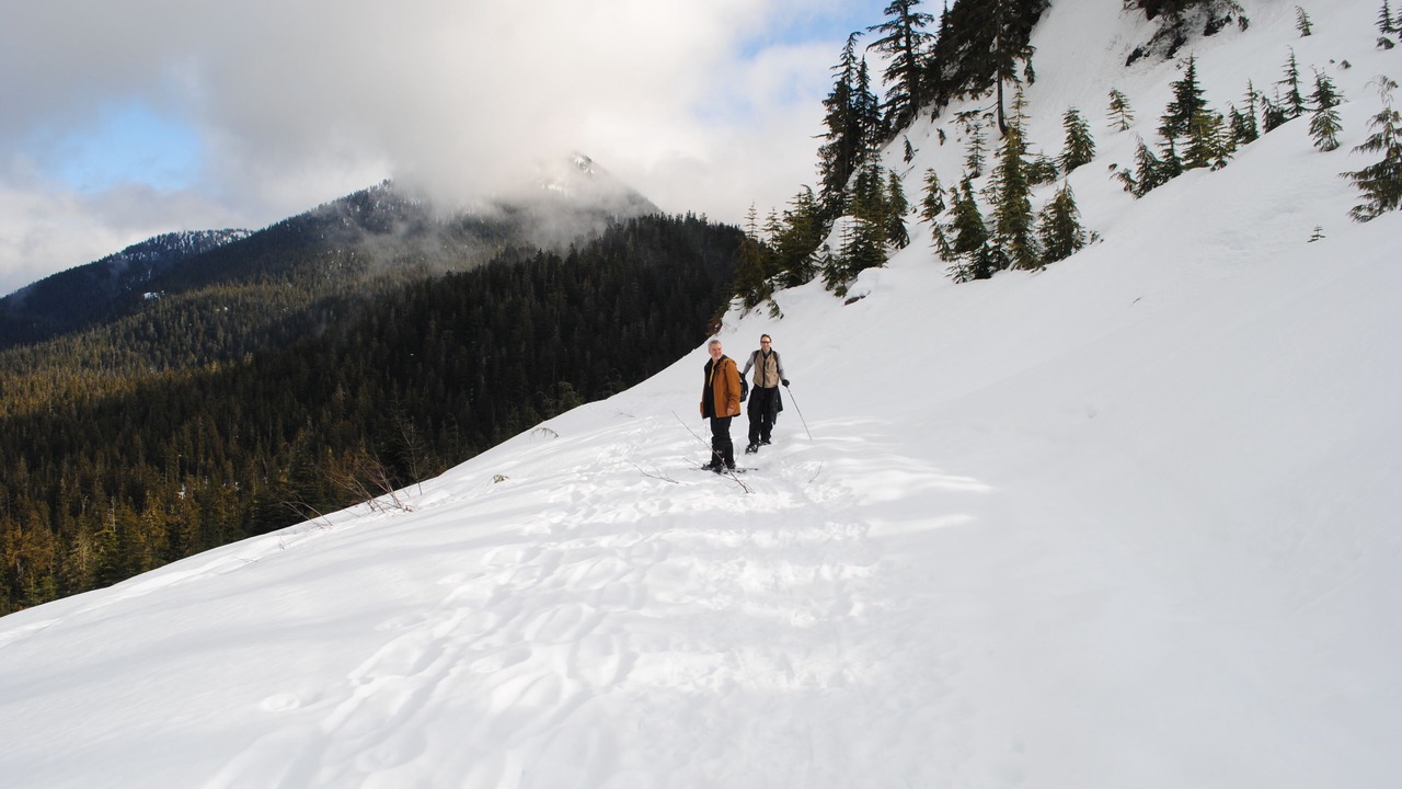 Photo of Others in West Porpoise Bay