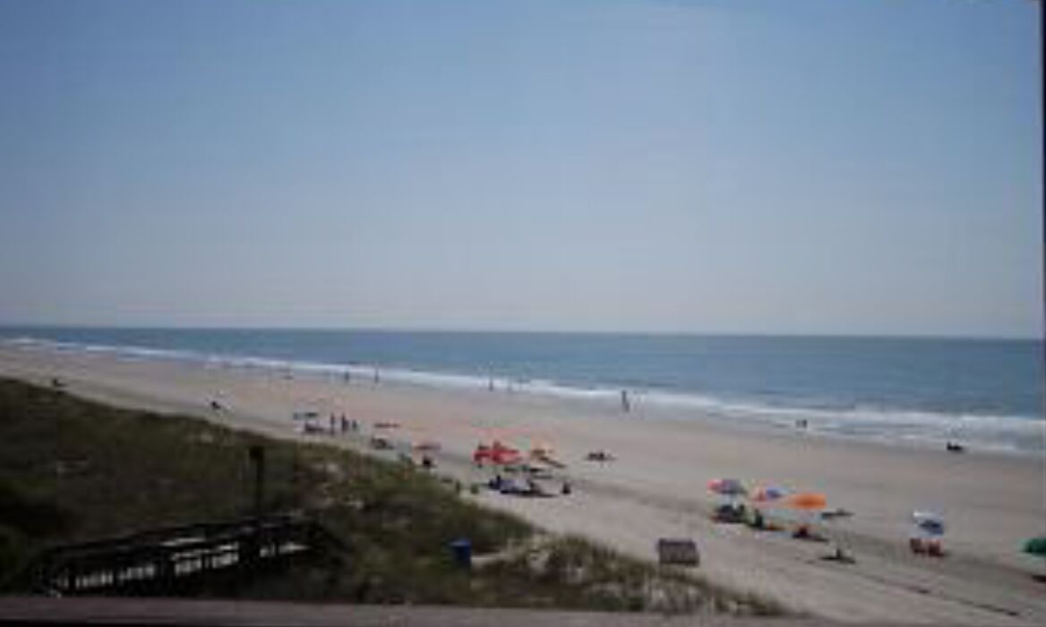 Photo of Others in Arcadian Shores