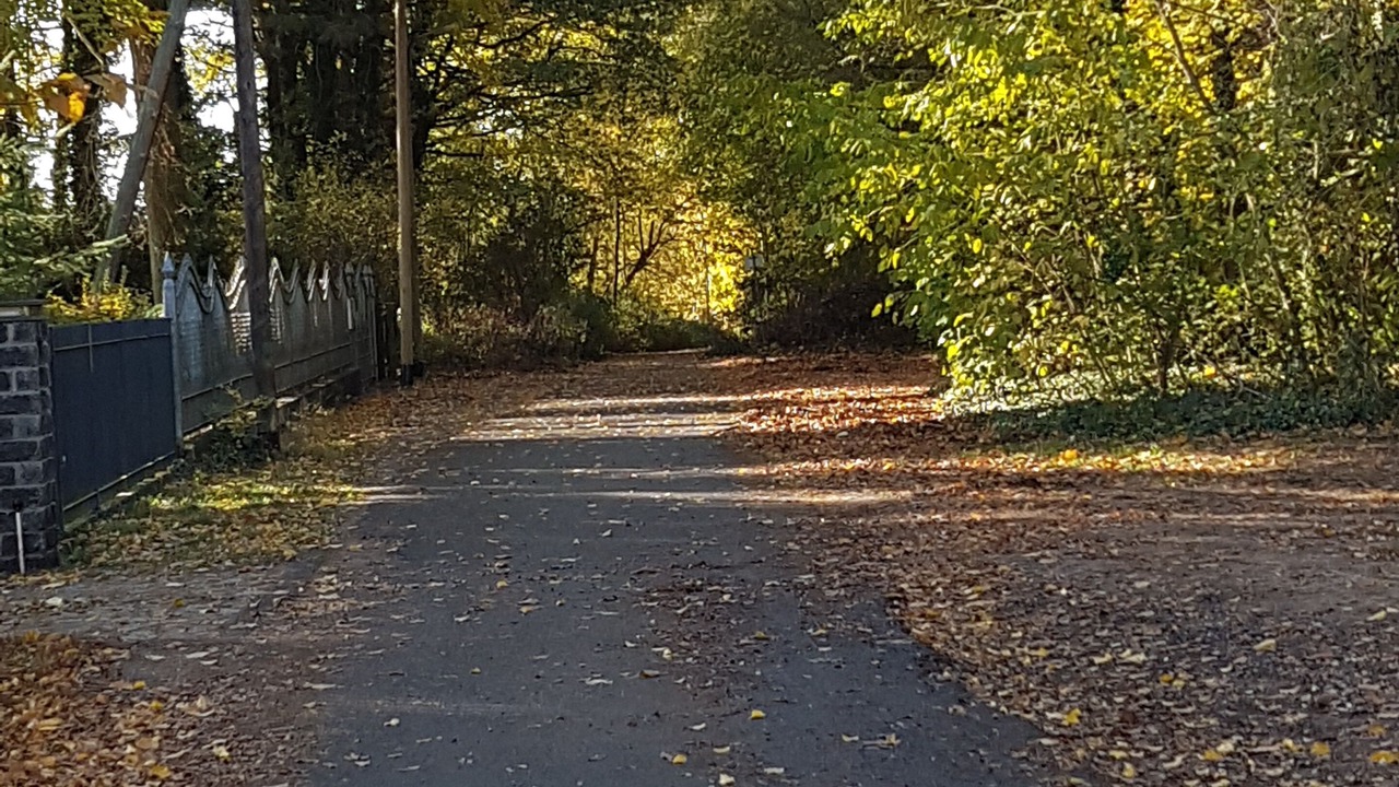 Photo of Outdoor in Schmoeckwitz