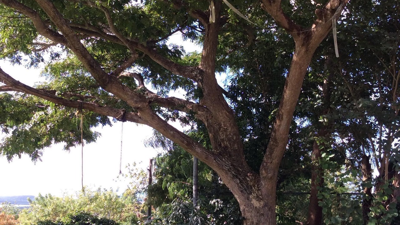 Photo of Outdoor in Isabel II