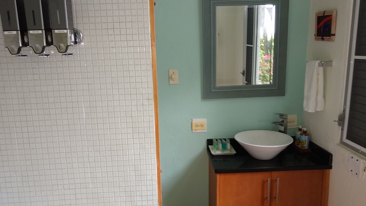 Photo of Bathroom in Isabel II