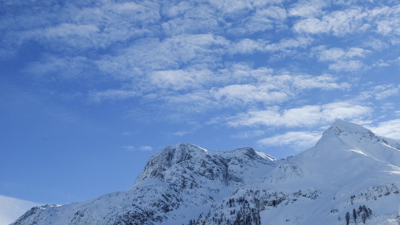 Photo of Others in Warth