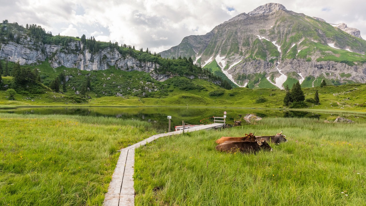 Photo of Outdoor in Warth