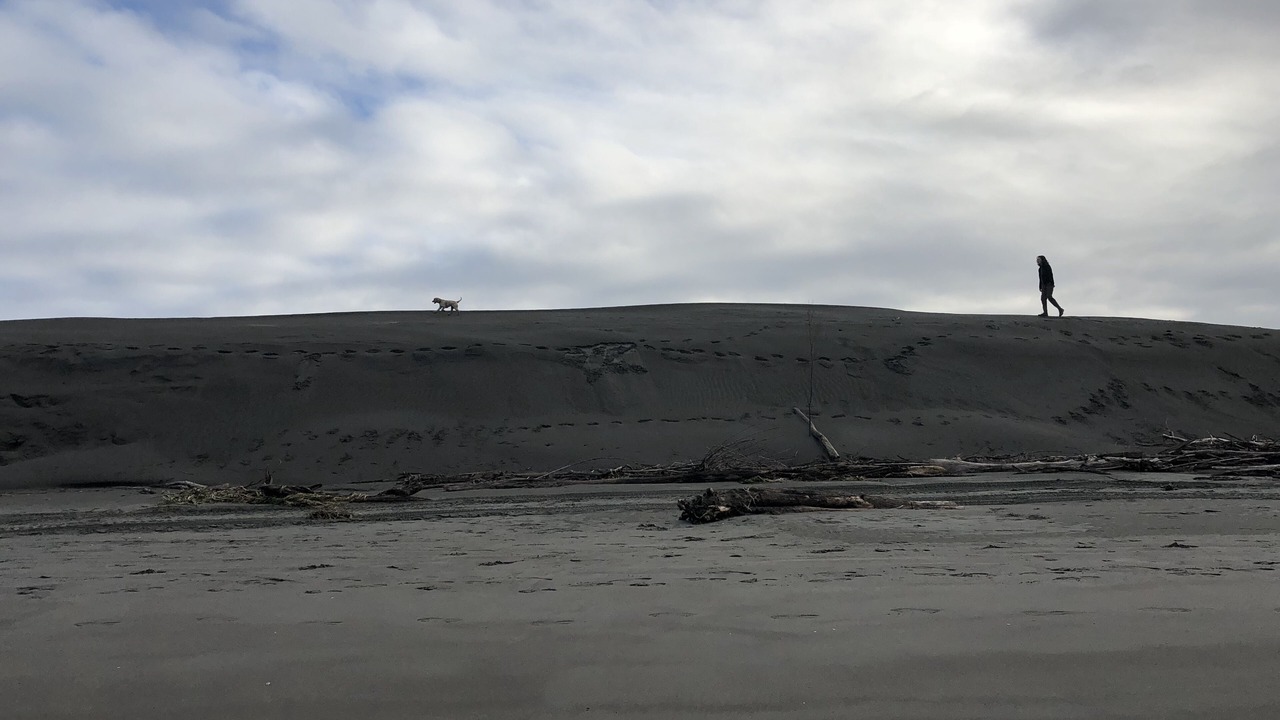 Photo of Others in Foxton Beach