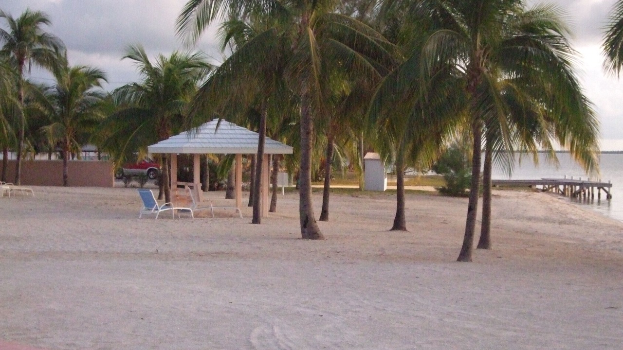 Photo of Others in Rum Point