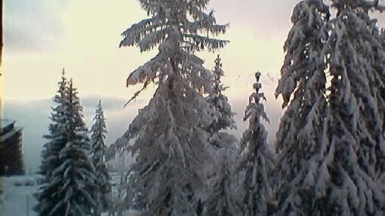 Photo of Outdoor in Arc-1800