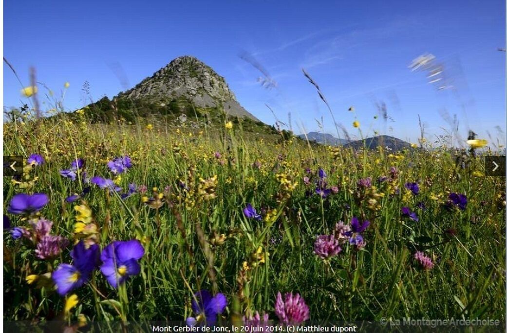 Photo of Outdoor in Orgnac-l'Aven