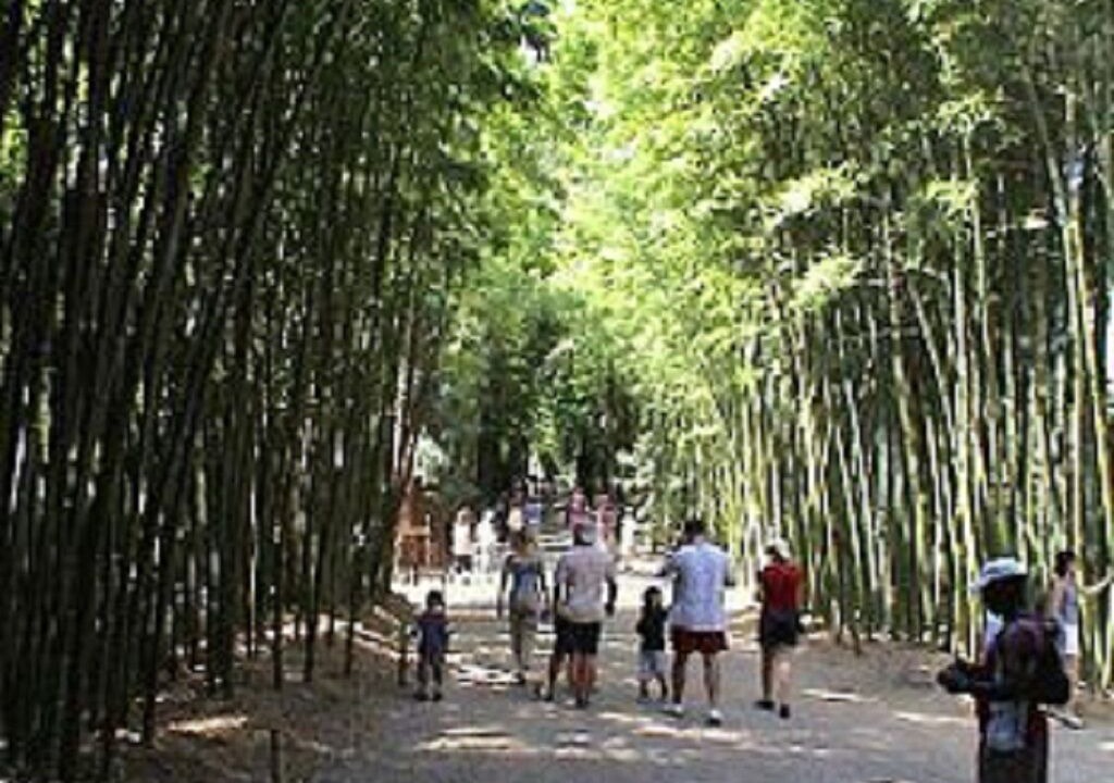 Photo of Outdoor in Orgnac-l'Aven