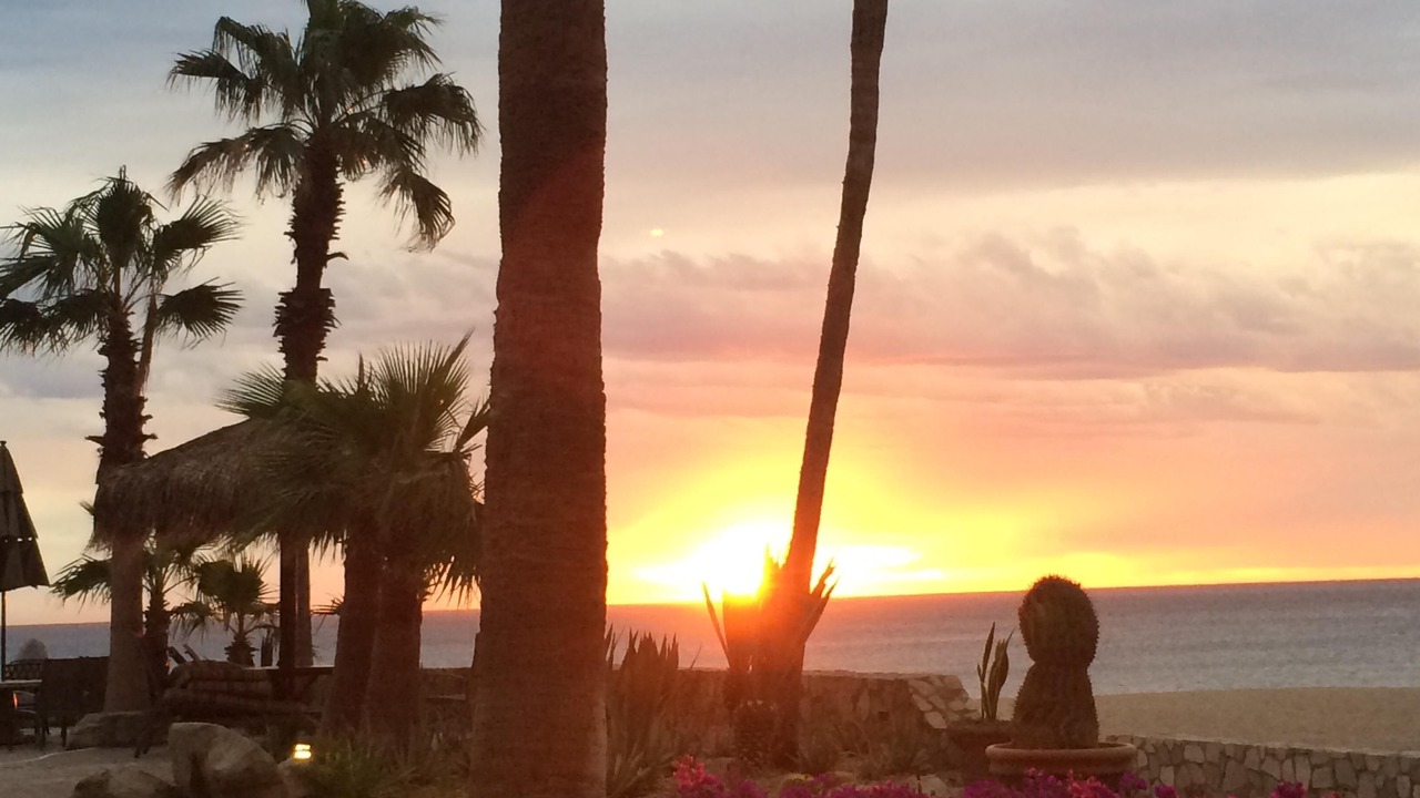 Photo of Others in San Jose del Cabo