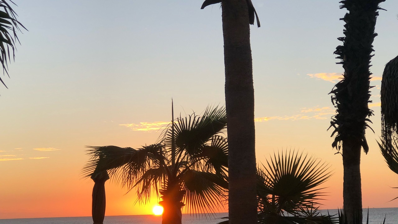 Photo of Outdoor in San Jose del Cabo