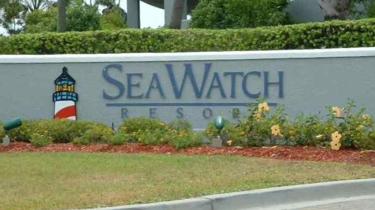Photo of Others in Arcadian Shores