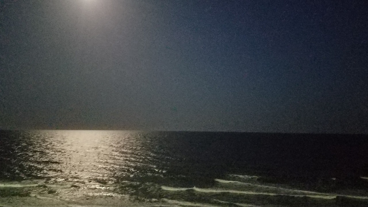 Photo of Others in Arcadian Shores