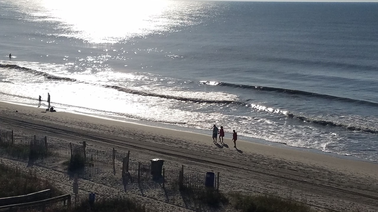 Photo of Others in Arcadian Shores