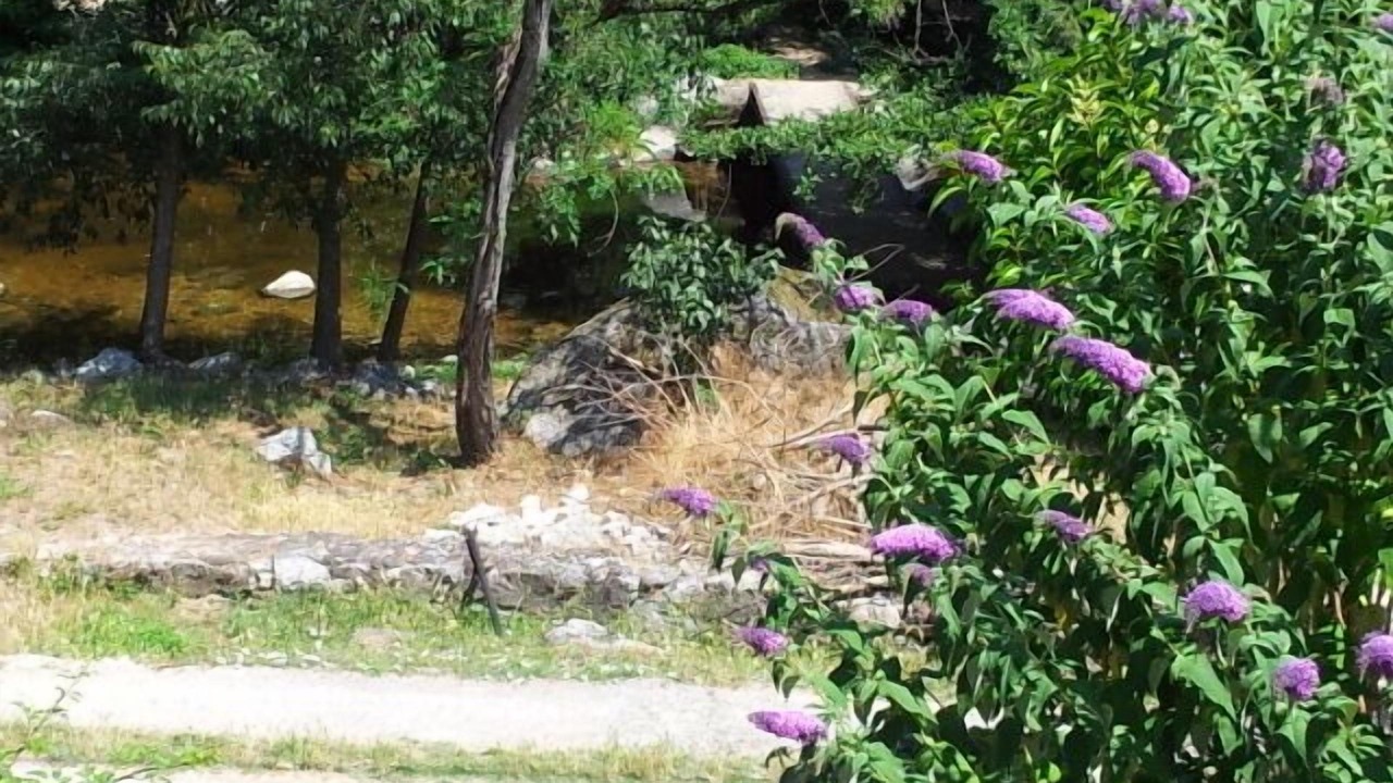 Photo of Outdoor in Duniere-sur-Eyrieux