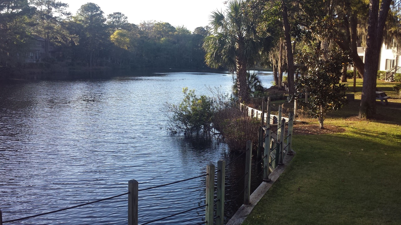Photo of Outdoor in Shipyard Plantation