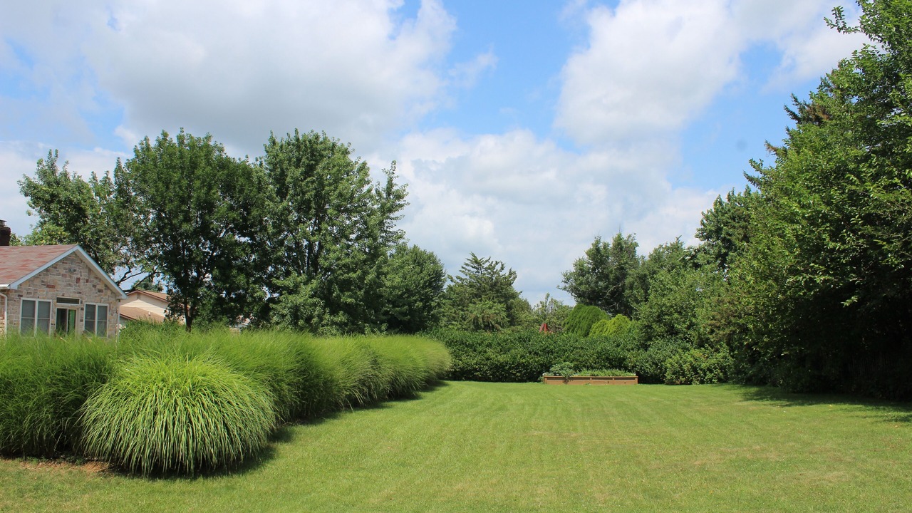 Photo of Outdoor in Palmyra