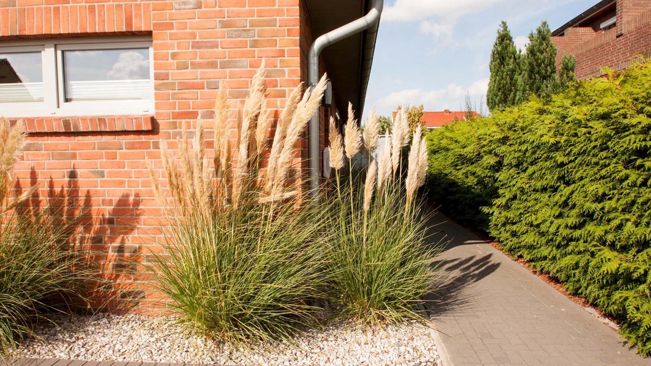Photo of Outdoor in Carolinensiel