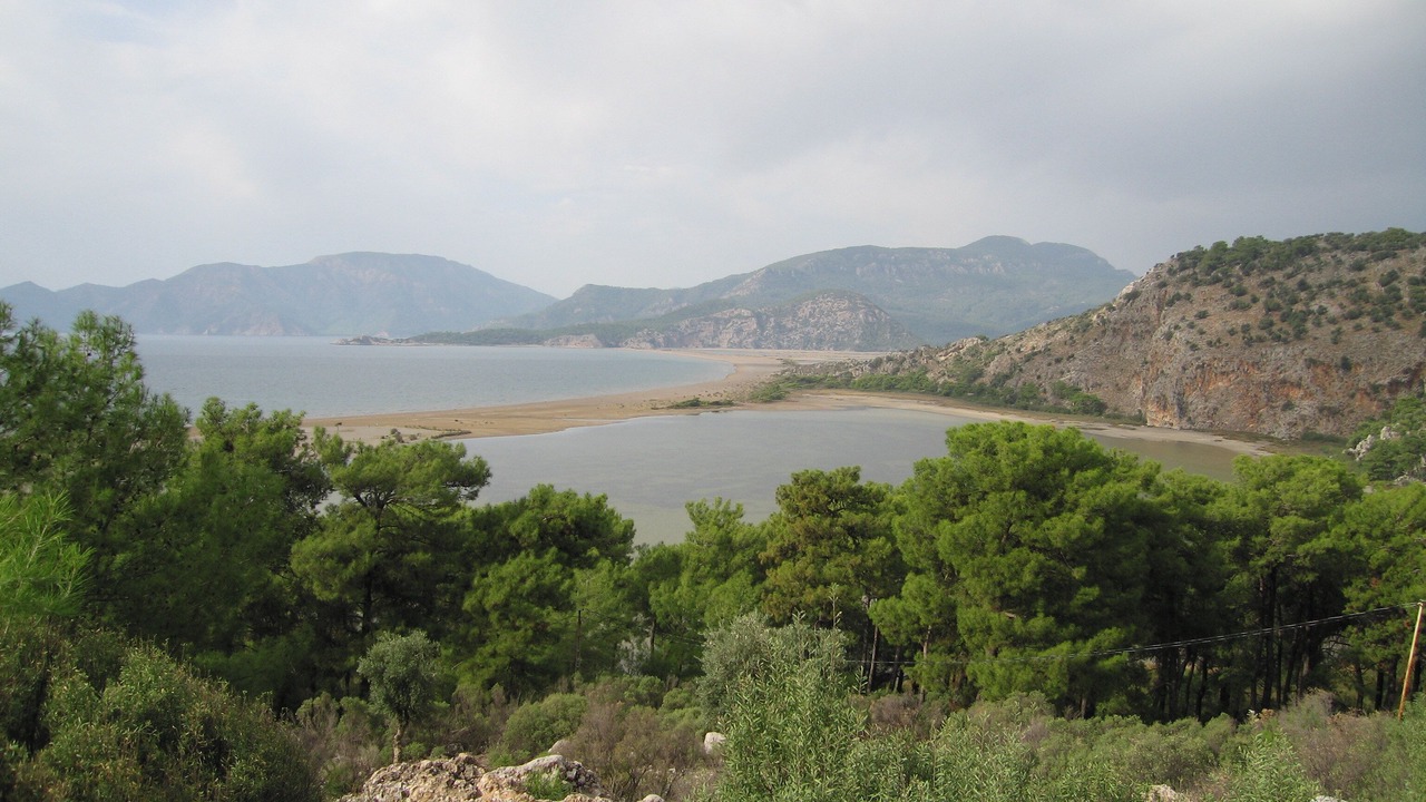 Photo of Others in Dalyan City Center