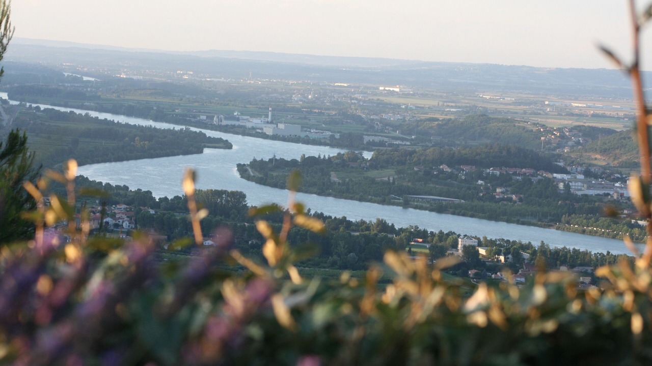 Photo of Others in Ozon