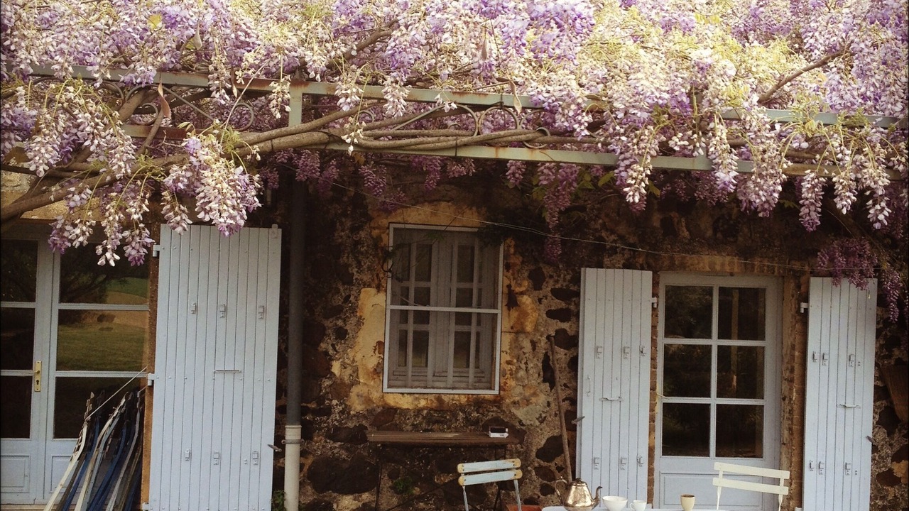 Photo of Outdoor in Saint-Lager-Bressac