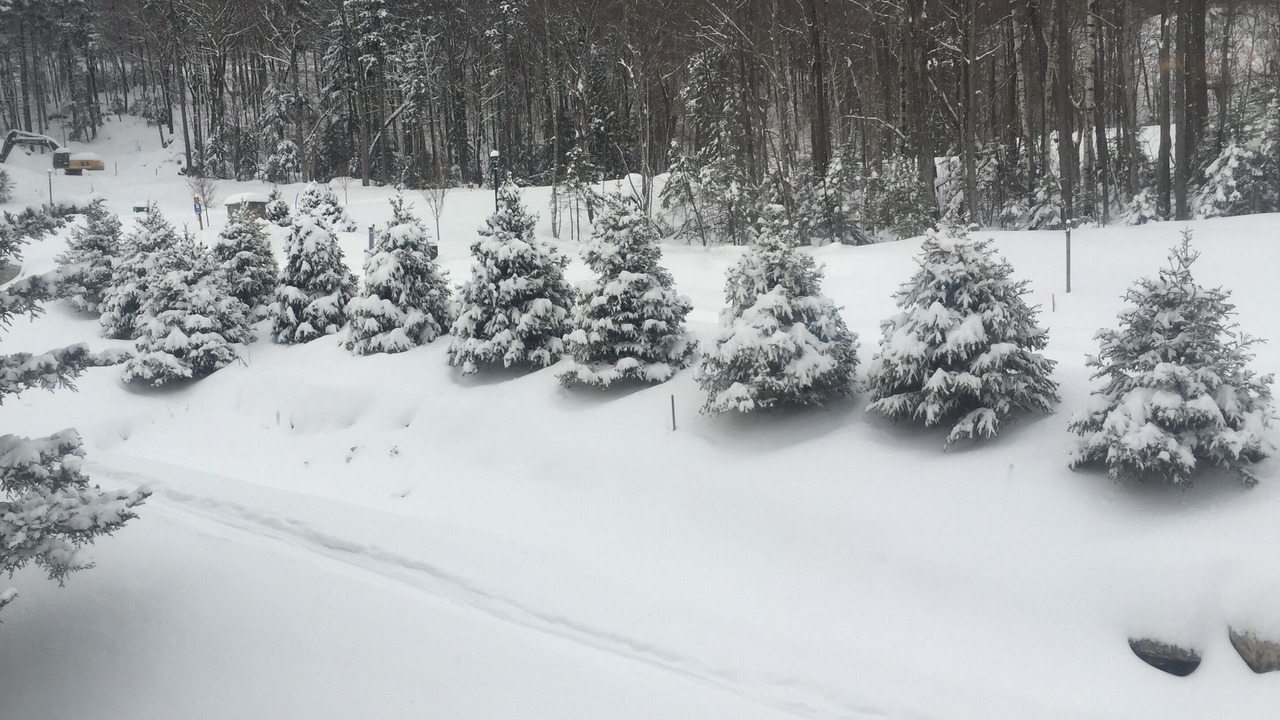 Photo of Bedroom in West Dover