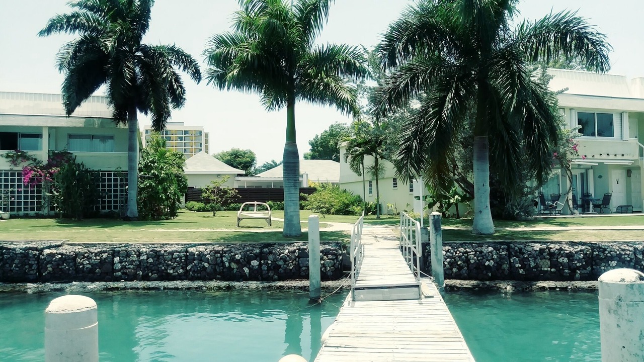 Photo of Others in Montego Bay