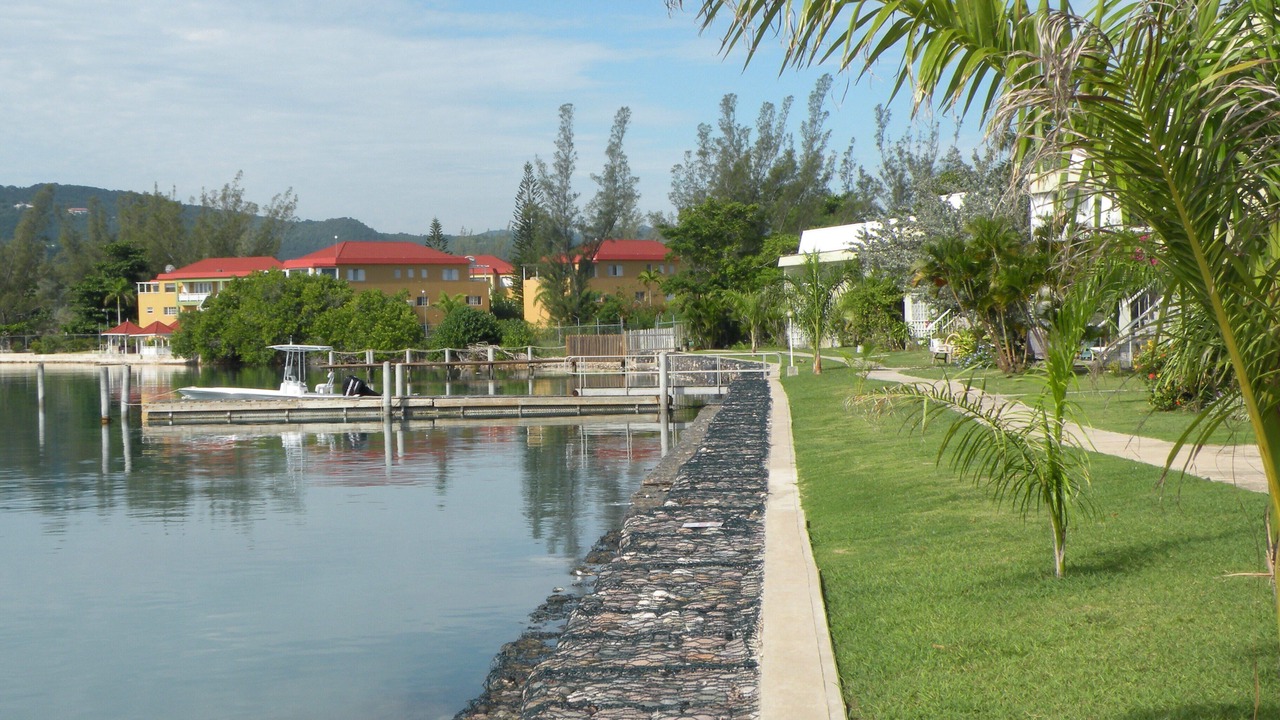 Photo of Others in Montego Bay