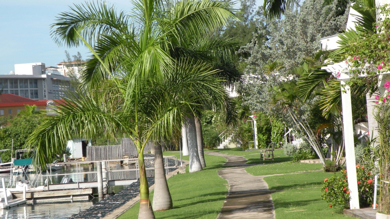 Photo of Outdoor in Montego Bay