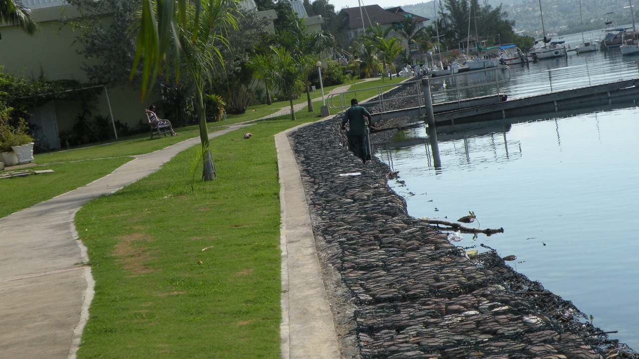 Photo of Others in Montego Bay