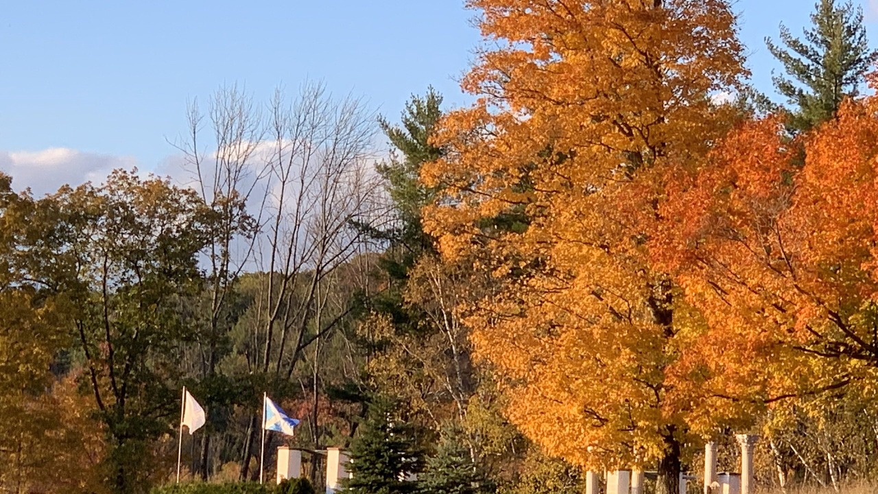 Photo of Outdoor in Reading