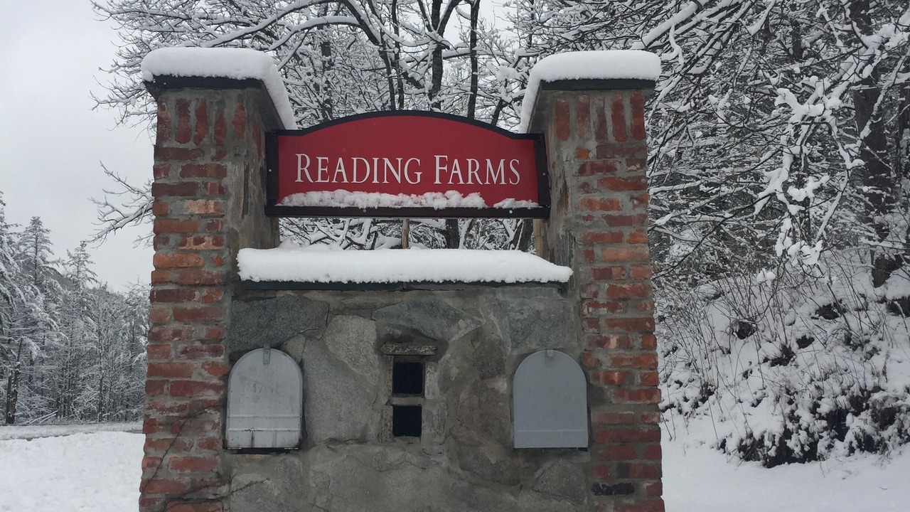 Photo of Outdoor in Reading