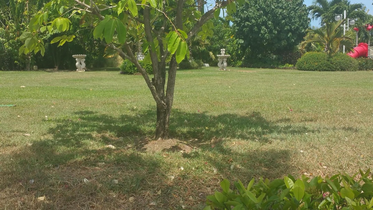 Photo of Outdoor in Priory
