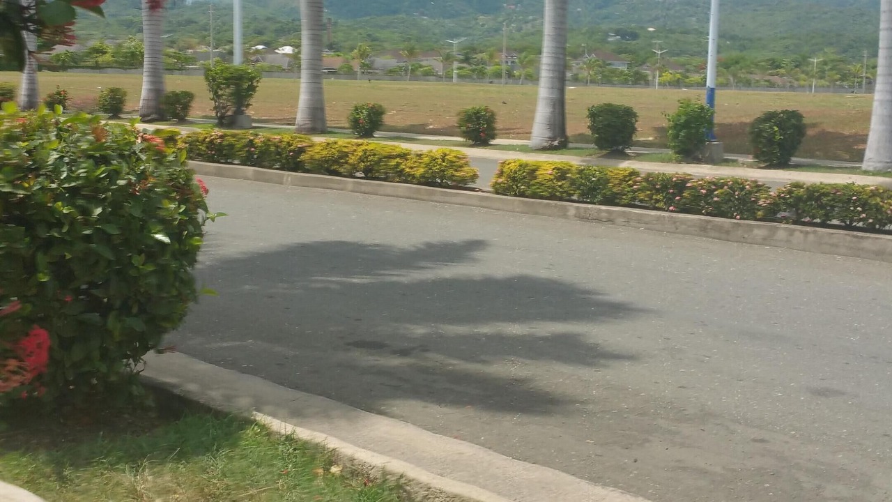 Photo of Outdoor in Priory