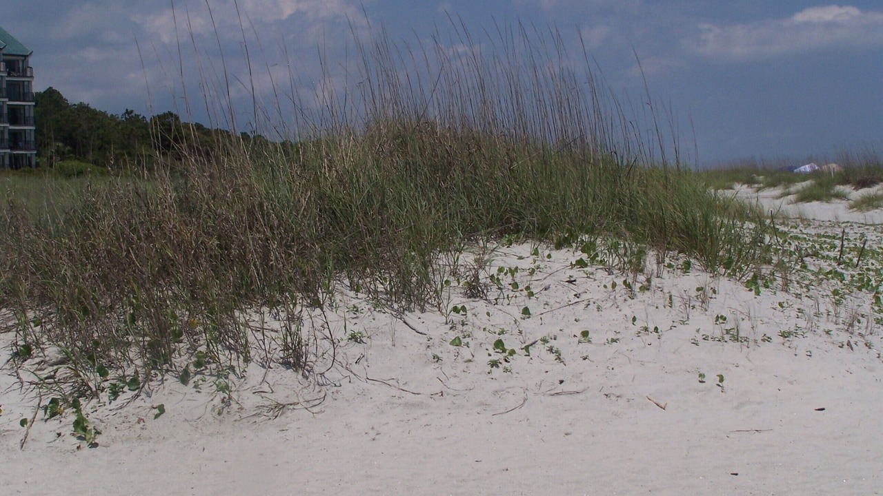 Photo of Others in Folly Field