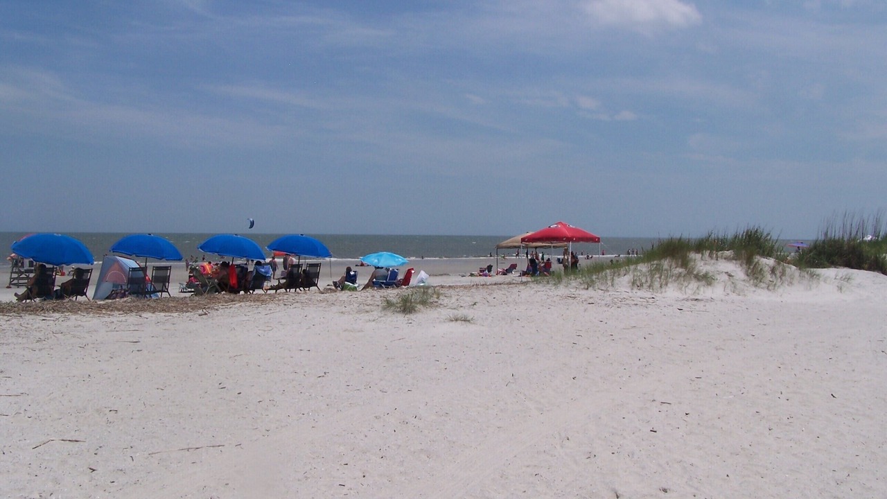 Photo of Others in Folly Field