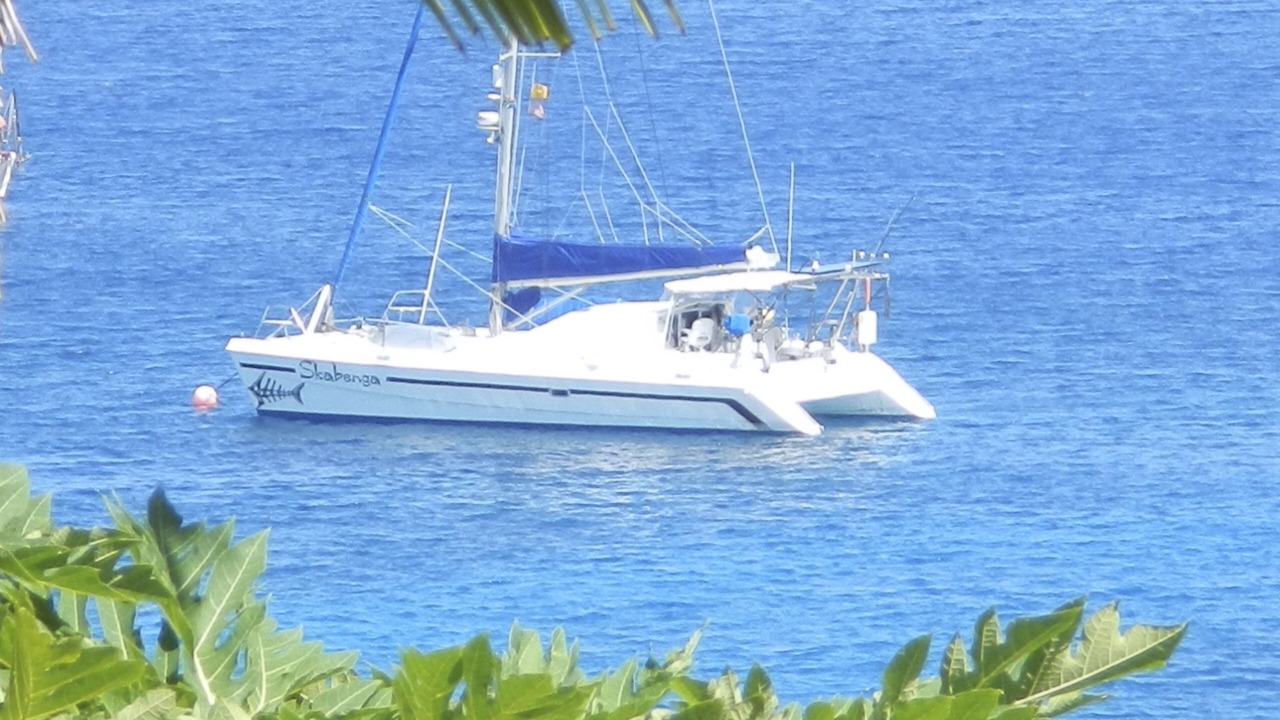 Photo of Others in Savusavu