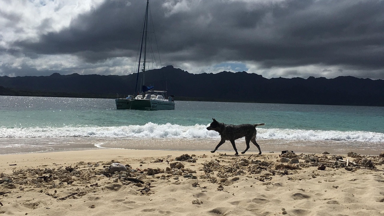 Photo of Others in Savusavu