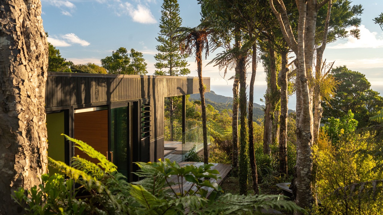 Photo of Others in Piha