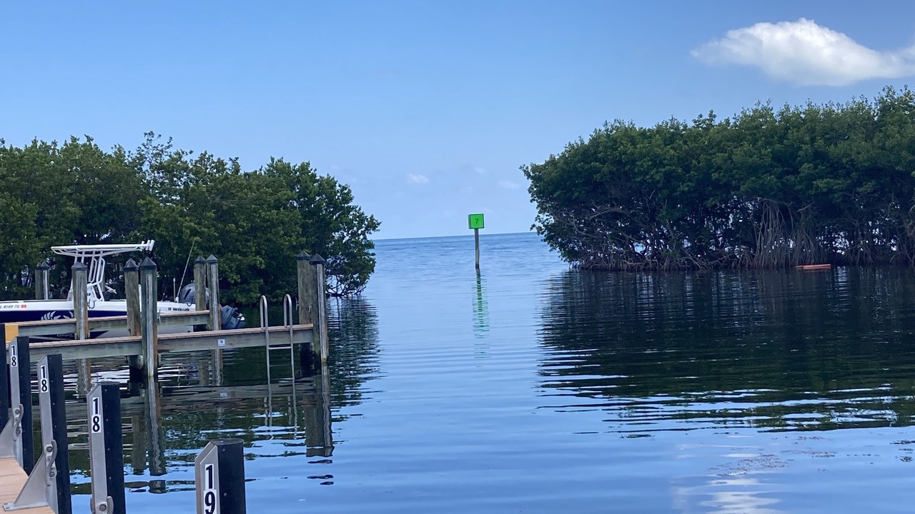 Photo of Others in Tavernier