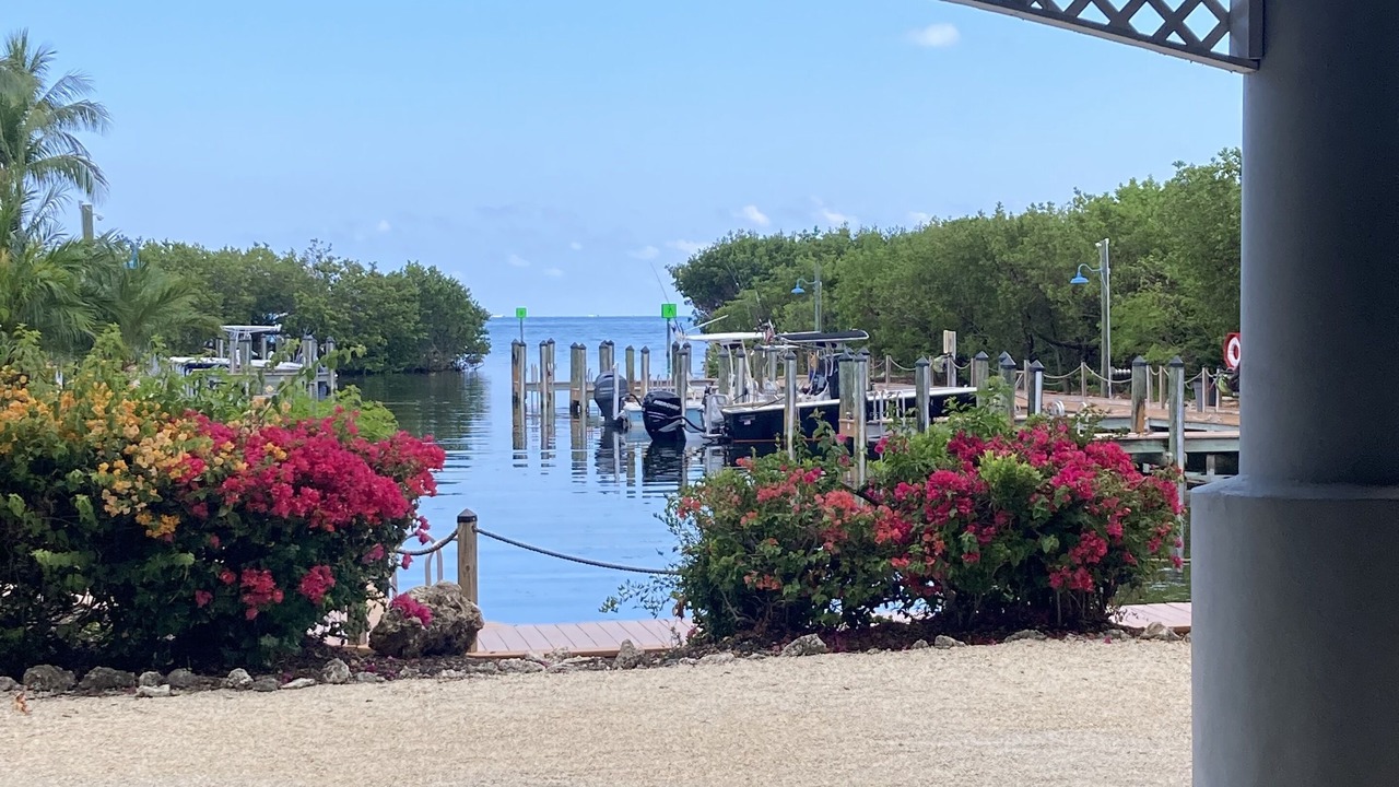 Photo of Others in Tavernier
