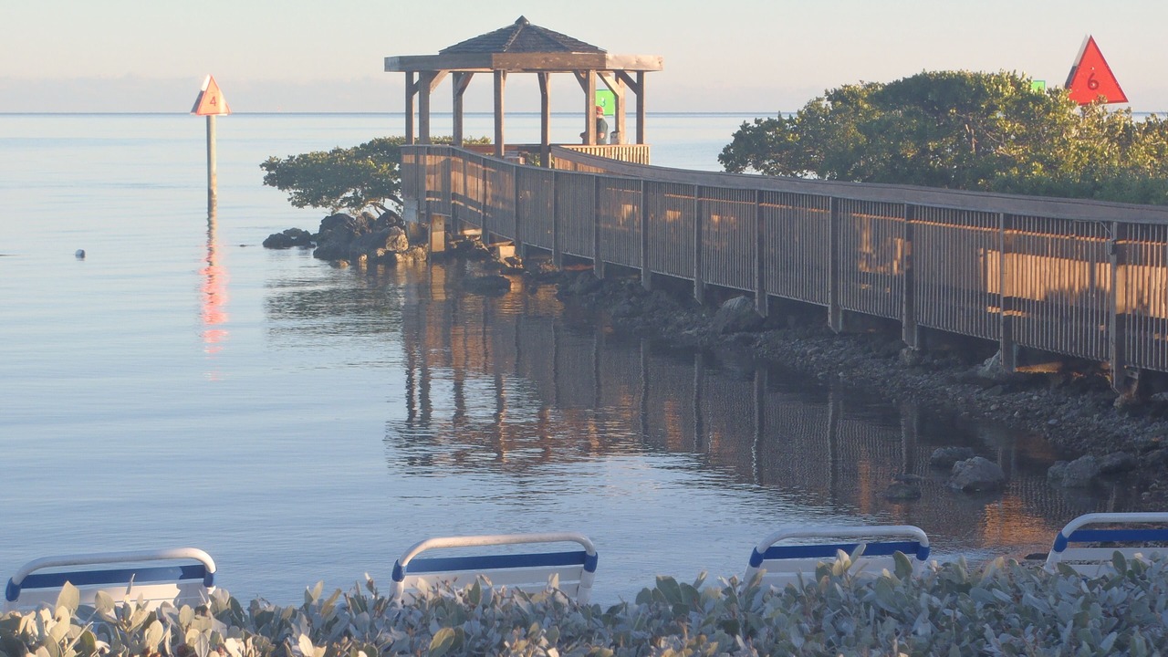Photo of Outdoor in Tavernier