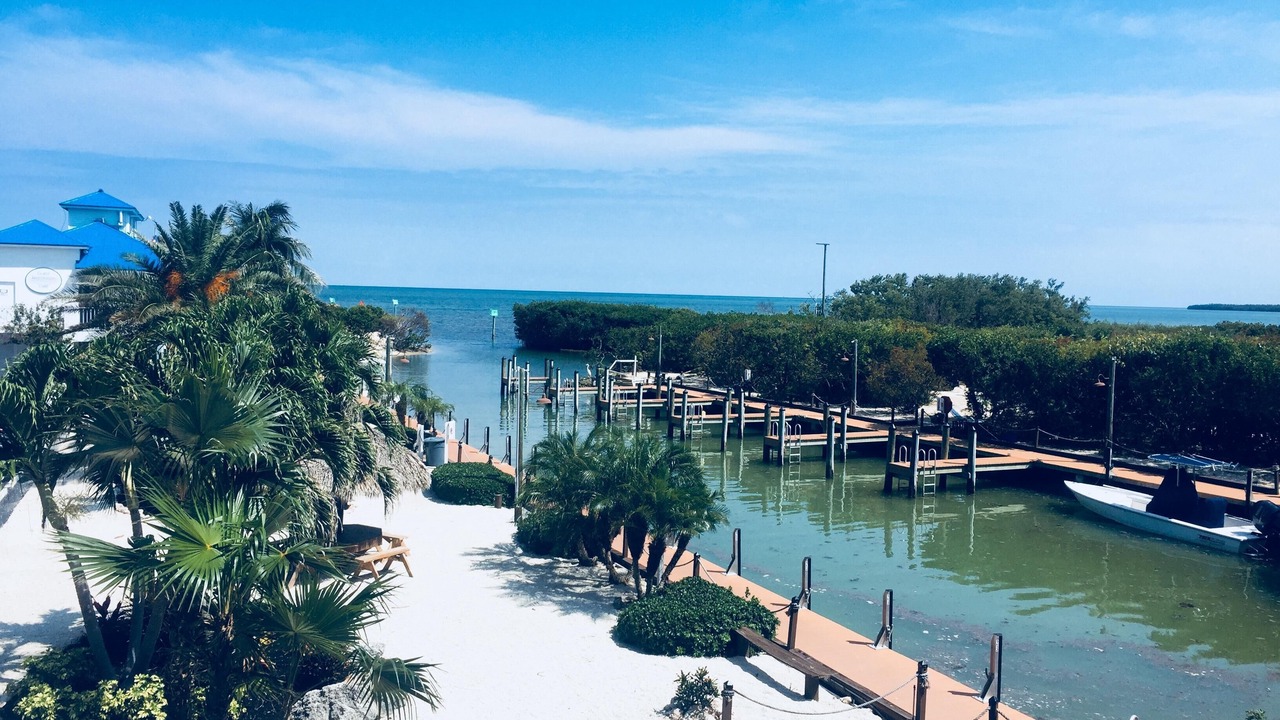 Photo of Others in Tavernier