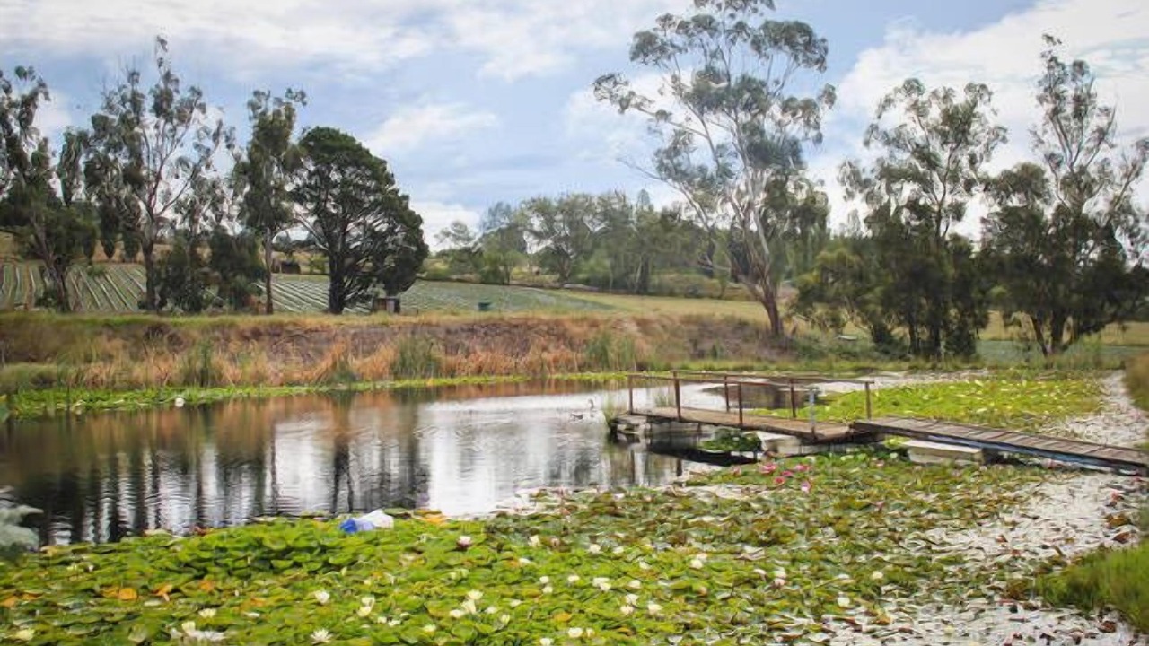 Photo of Outdoor in Wandin East