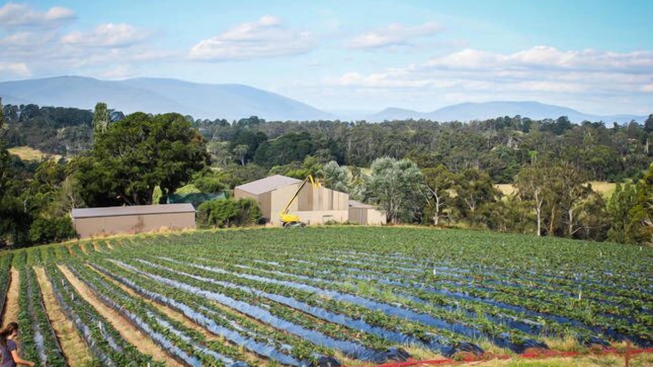 Photo of Outdoor in Wandin East