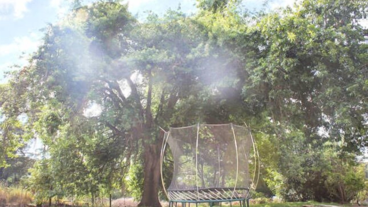 Photo of Outdoor in Wandin East