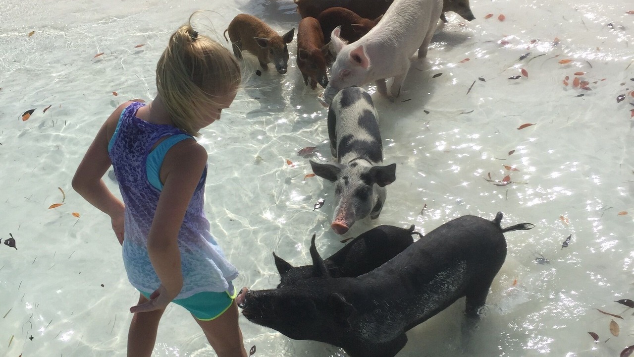 Photo of Others in Deadmans Cay