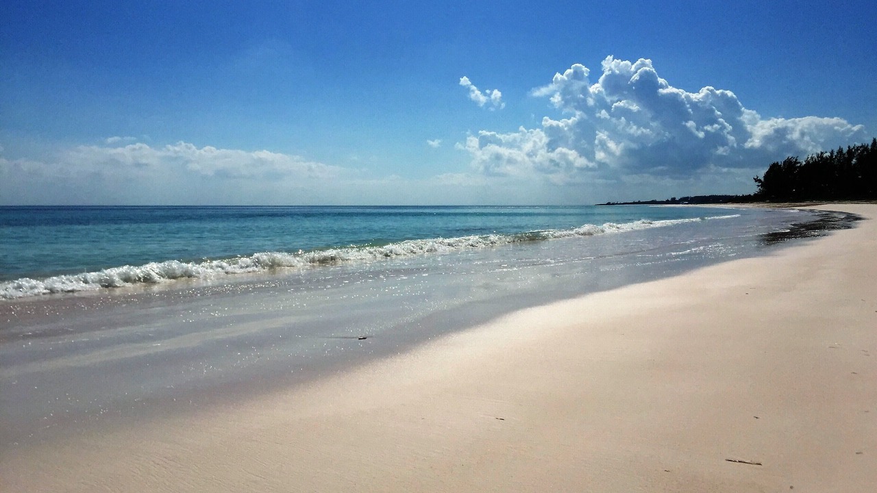 Photo of Others in Savannah Sound