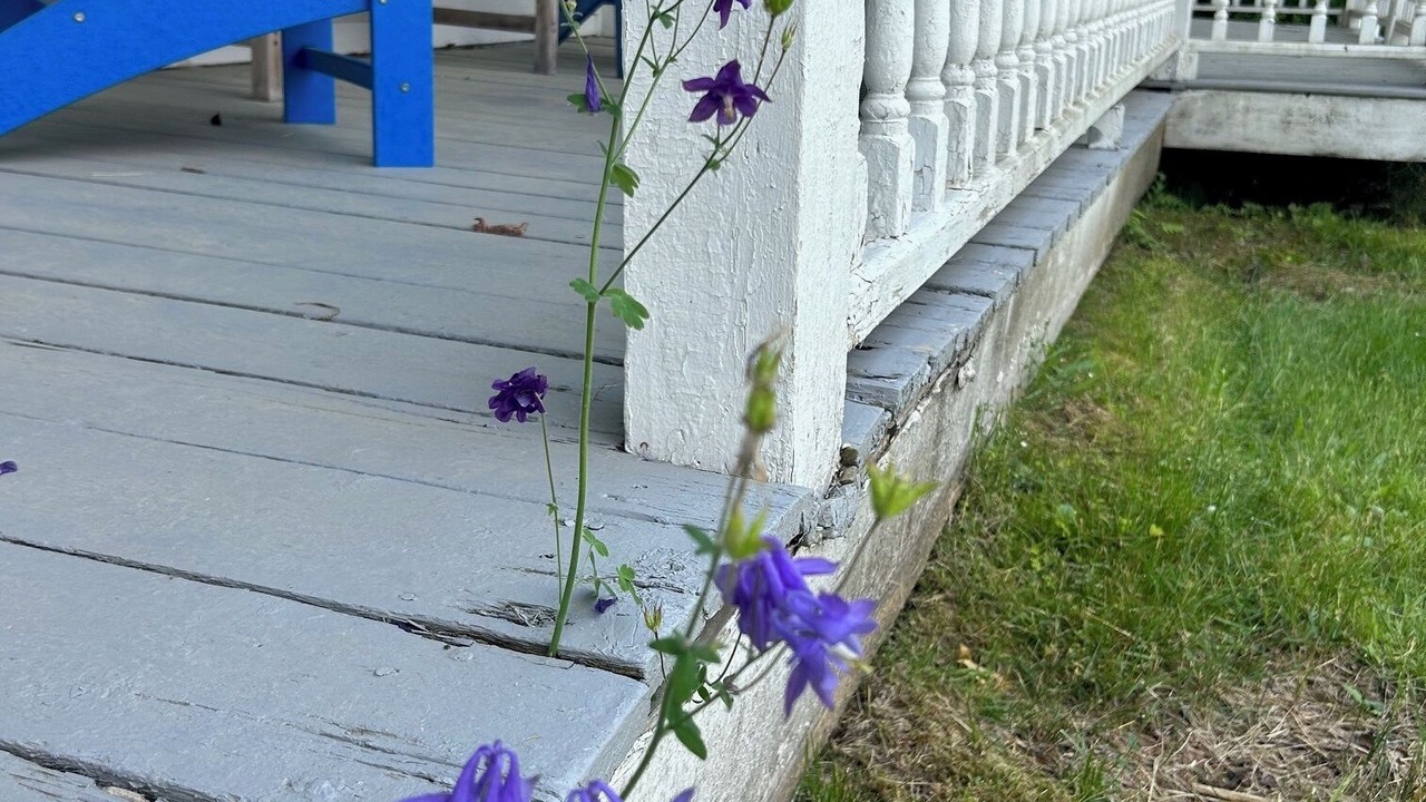 Photo of Outdoor in Wilmington