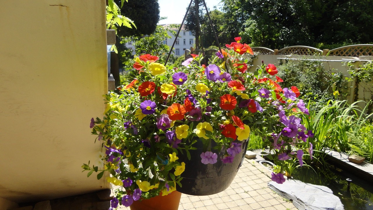 Photo of Outdoor in Oudergem