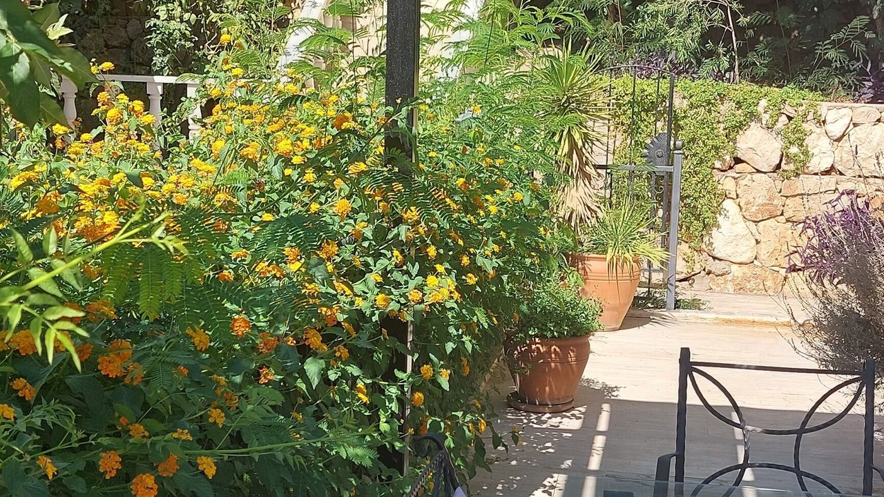 Photo of Outdoor in Kalkan